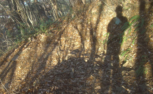 b0099994_14511584.jpg