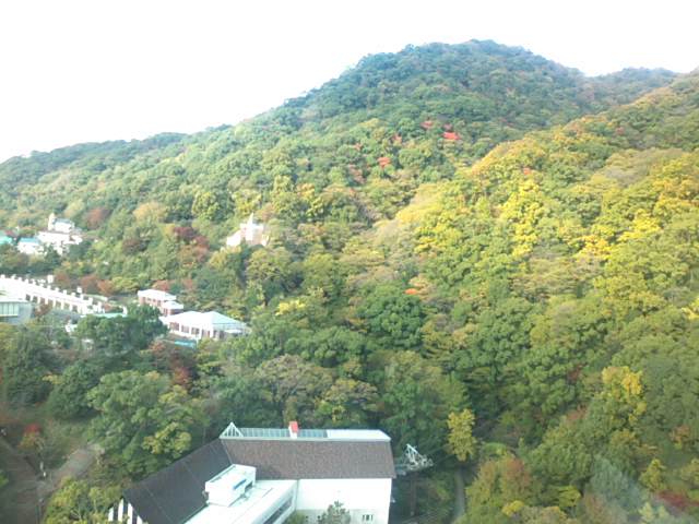 f0077595_8213849.jpg