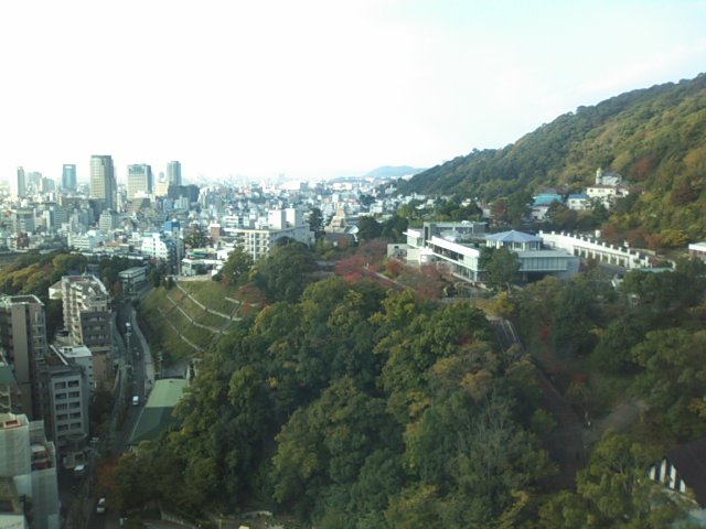 f0077595_8213876.jpg