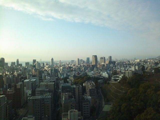 f0077595_8213884.jpg