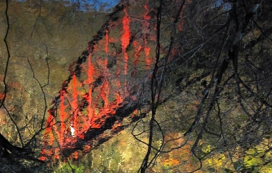 c0173697_21163486.jpg