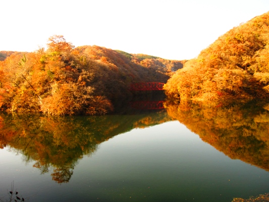 c0173697_21342510.jpg