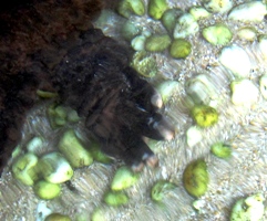 c0173697_21541094.jpg