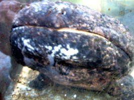 c0173697_21595650.jpg