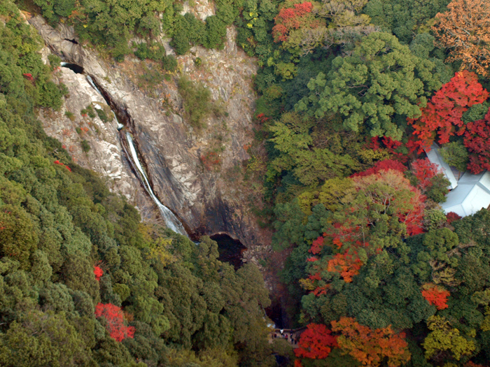 c0177502_22122024.jpg