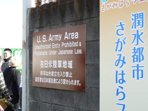 d0163003_1541020.jpg