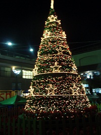 e0207503_0323477.jpg