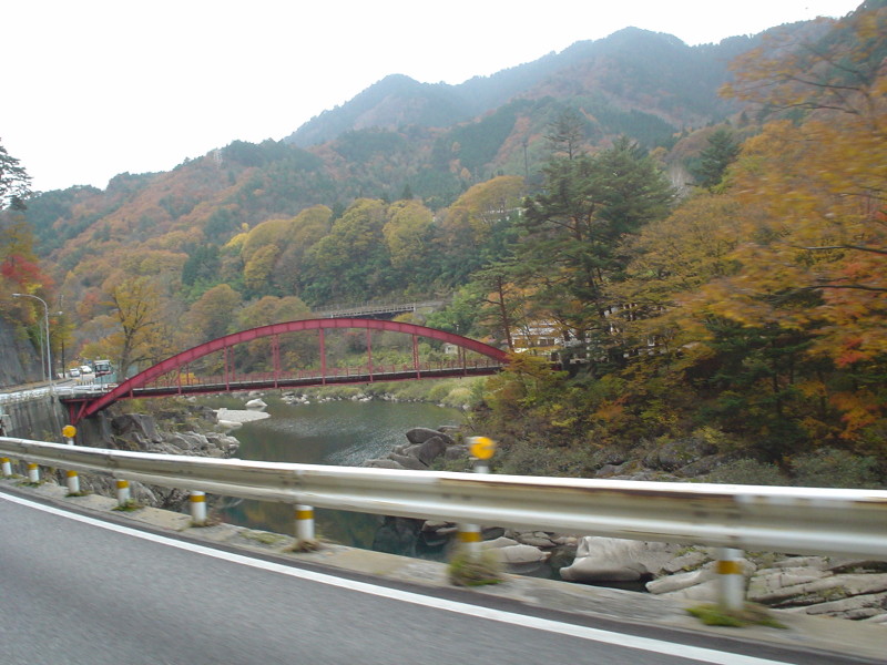 a0116205_1882728.jpg