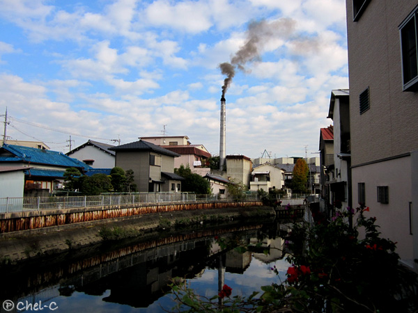 a0154706_0323257.jpg