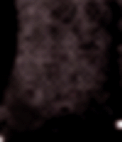 e0103408_15351254.gif