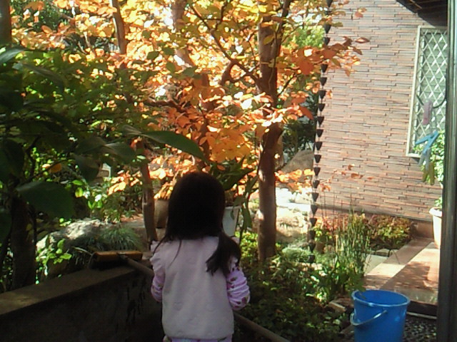 f0169509_10284865.jpg