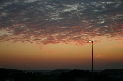f0127610_946362.jpg