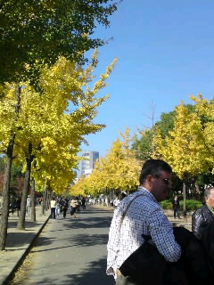 b0021311_2222610.jpg