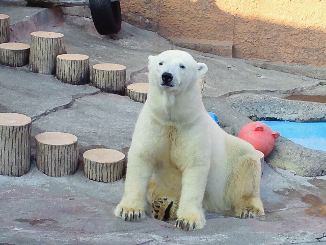 a0151913_13541920.jpg