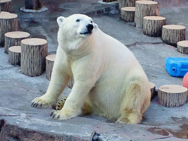a0151913_13541931.jpg