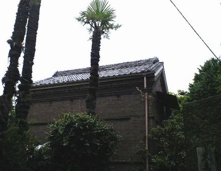 a0037414_10291198.jpg