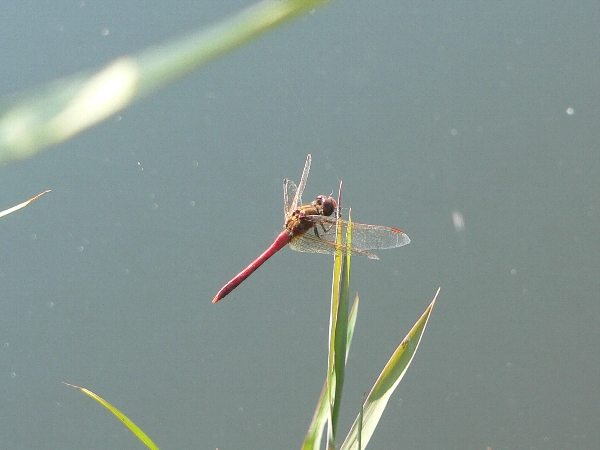 e0002314_20293338.jpg