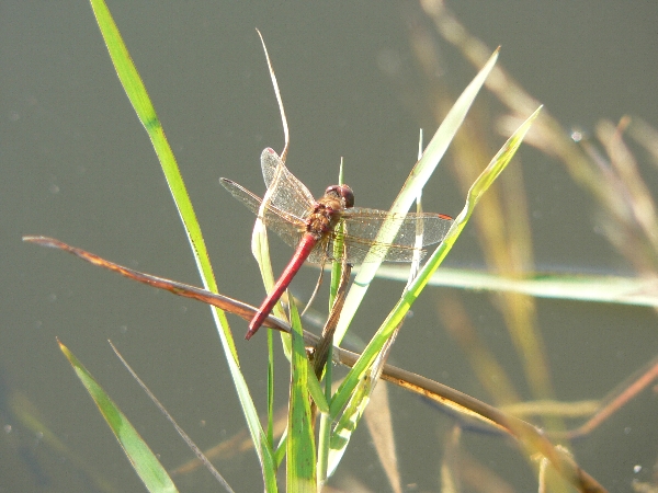 e0002314_20294680.jpg