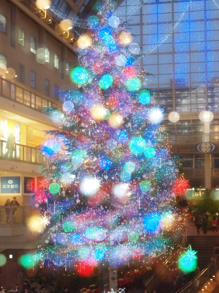 e0113915_1020498.jpg