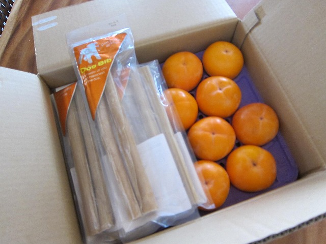 e0192217_10552617.jpg