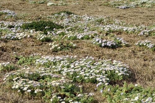 c0042418_14445269.jpg