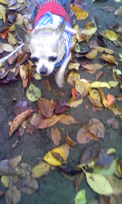 c0150520_020751.jpg