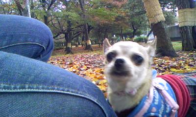 c0150520_022634.jpg