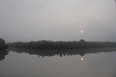 d0182220_160993.jpg