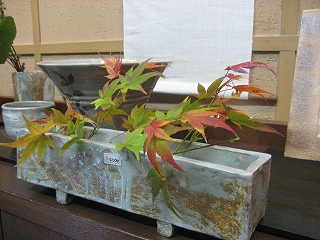 f0139520_20245360.jpg