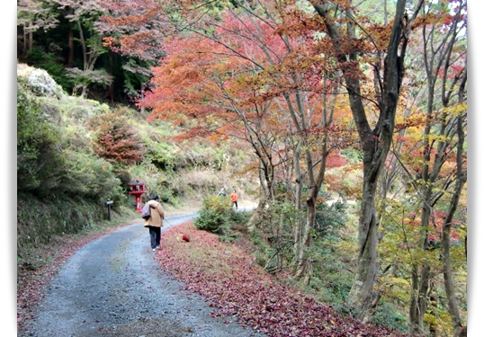 f0182121_1034103.jpg