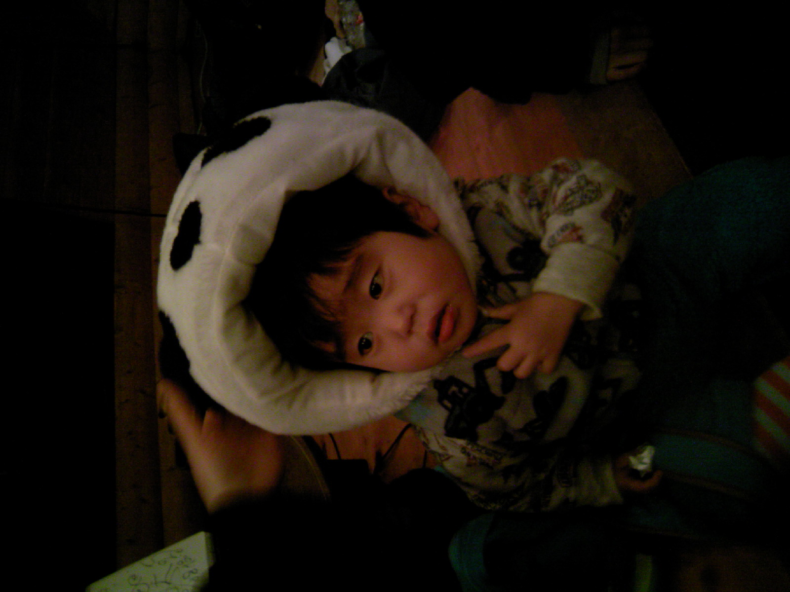 c0130623_13131929.jpg
