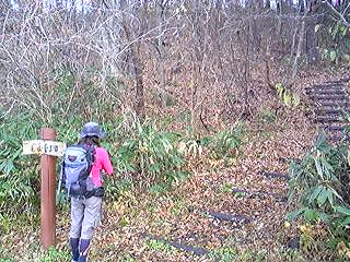 f0028123_23162279.jpg