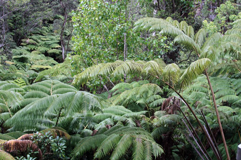 f0137324_14371741.jpg