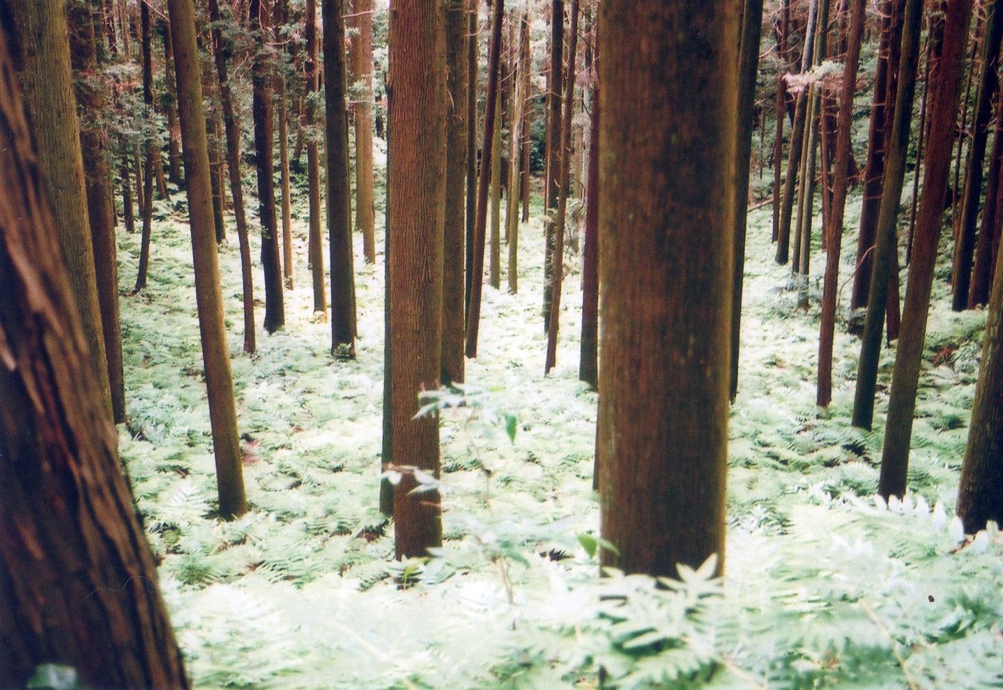 e0187625_0175511.jpg