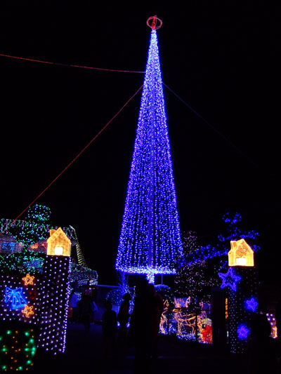 f0147025_21235213.jpg