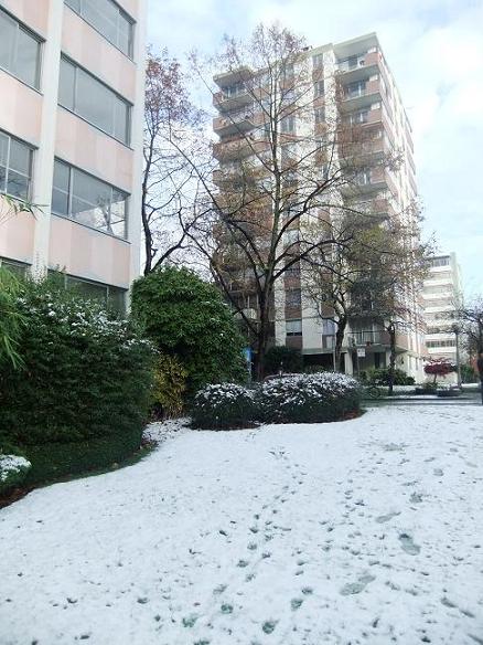 f0111926_1795345.jpg