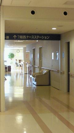 c0201427_1150937.jpg