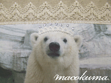 c0188928_0132825.gif