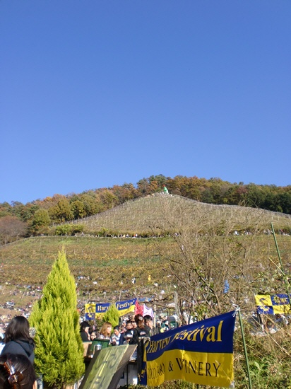 d0077029_18473173.jpg