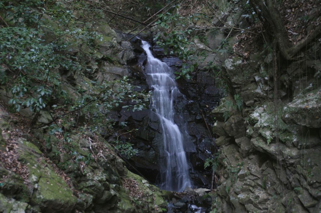 e0033229_2155192.jpg