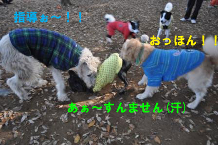 f0176830_18423950.jpg