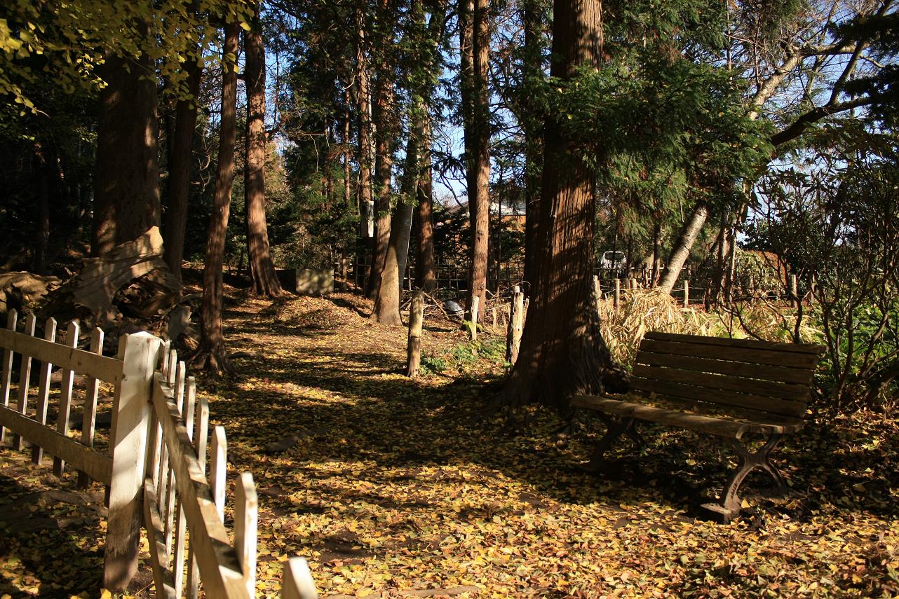 a0123331_18345926.jpg