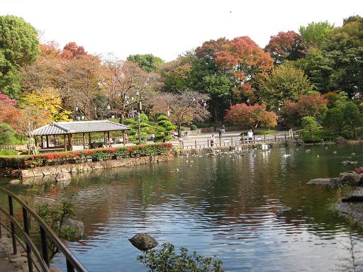 c0217931_1743151.jpg