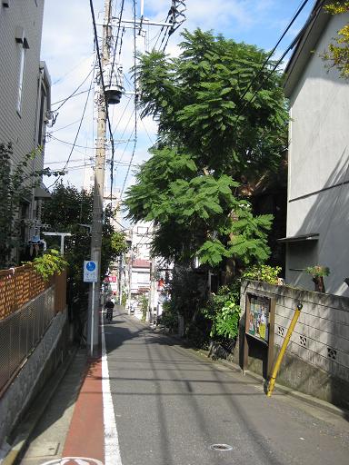 c0217931_17441472.jpg