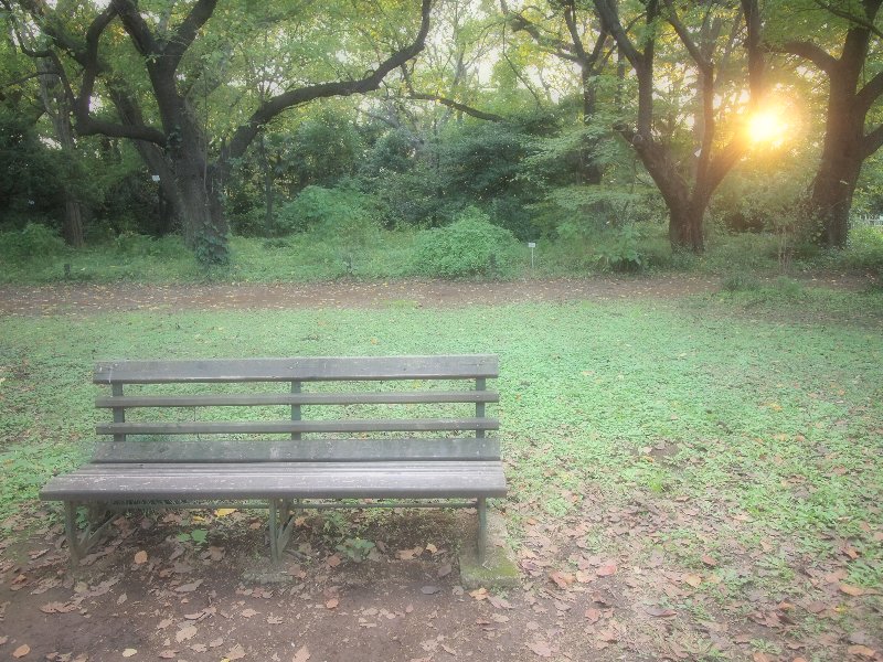 e0016732_23435772.jpg