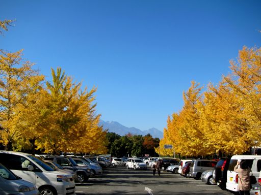 b0178339_1683094.jpg