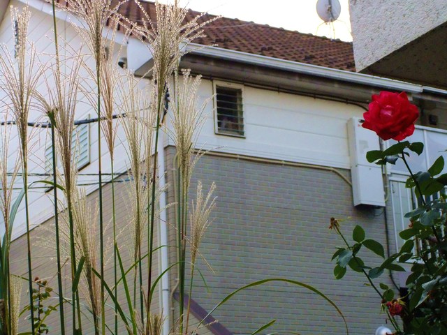 e0206242_12415822.jpg