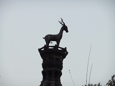 e0173645_2014267.jpg