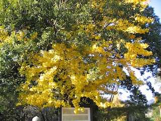 f0213347_035524.jpg