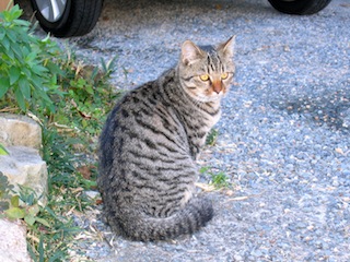 f0213347_0385199.jpg
